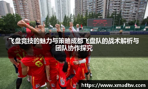 飞盘竞技的魅力与策略成都飞盘队的战术解析与团队协作探究